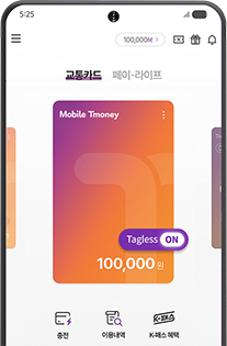 태그리스 ON 상태 확인 후 자동 결제